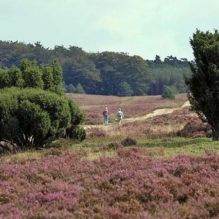 Natuurhuisje Valkenbosch Oisterwijk