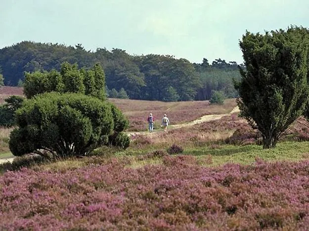Natuurhuisje Valkenbosch Oisterwijk